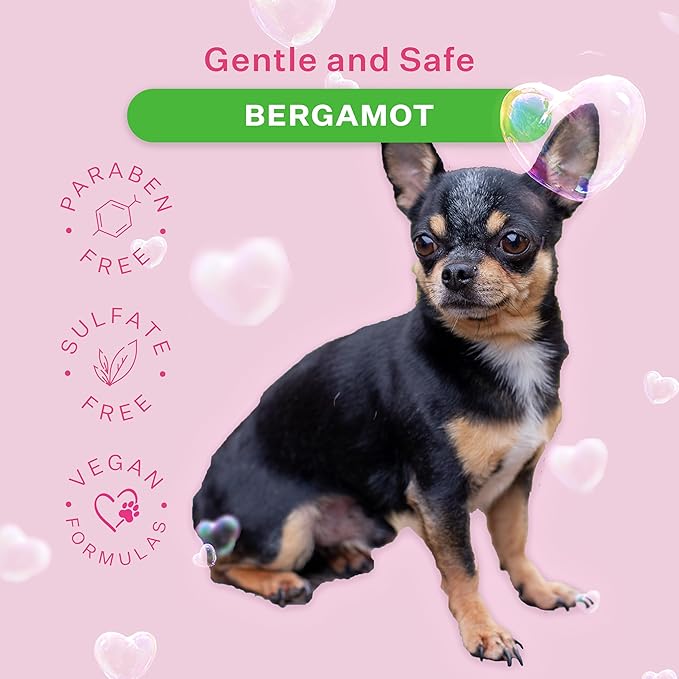 Paris Hilton Pet Iconic Bergamot Scent No-Rinse Dog Shampoo, Waterless Dog Wash, Hypoallergenic, 280ml  Quick Clean for Dogs, Easy Grooming, No Rinse Needed