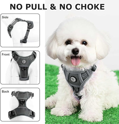 Dog Harness Small Sized Dog, No Pull Pet Harness with 2 Leash Clips, Adjustable Soft Padded Dog Vest Harnesses, Reflective No-Choke Pet Oxford Vest