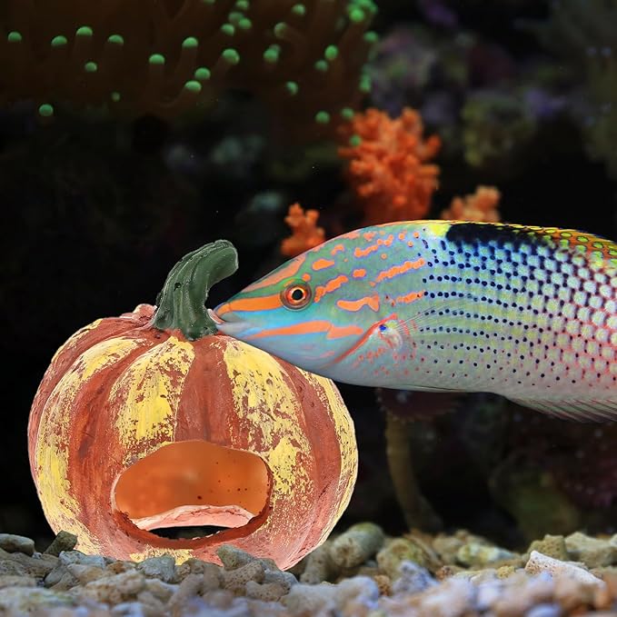 Fish and Shrimp Hideout House Terrarium Decor Betta Fish Cave Hideout Betta Toys Glass Animals Pumpkin Cave Halloween Decor Ornaments for Tanks Aquarium Resin Rock