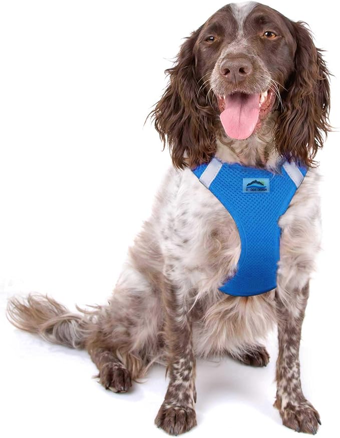 Doggie Design Dog Harness - No Choke Dog Harness, Dog Vest, Mesh Polyester, Pet Harness, Simple Step in and Go Design, Harness for Dog - Cobalt Blue, 2XL
