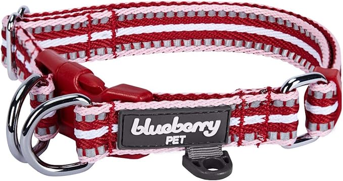 Blueberry Pet 3M Reflective Dog Collars | Adjustable Dog Collar w/Multi-Colored Stripe - Marsala Red and Pink | Nylon Pet Collars for Dogs & Refflective Dog Collar for Large Dogs