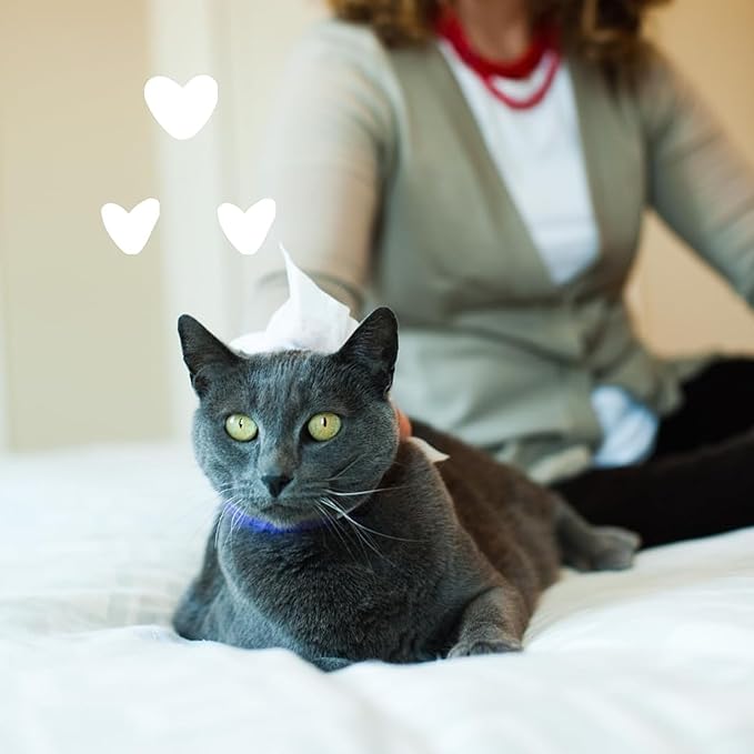 earthbath, Hypo-Allergenic Cat Wipes - Fragrance Free Cat Wipes for Paws and Butt, Best Pet Wipes for Cats with Sensitive Skin, Made in USA, Cruelty-Free Cat Cleaning Wipes - 100 Count (2 Pack)