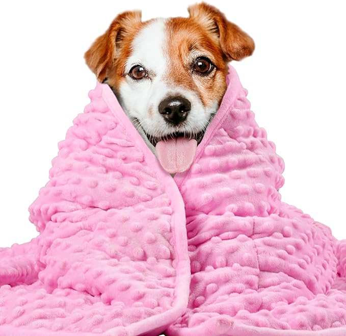 LaSyL Weighted Blanket for Pets | Thunder Blanket for Dogs Anxiety | Premium Soft Minky | Relaxation & Calming & Anti Anxiety | Used in Car, Bed, Couch | Pink, Washable Medium 32" L x 40" W