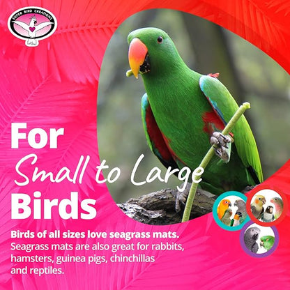 Super Bird Creations SB50003 Seagrass Mat for Cage Decor, Pet Enrichment and Boredom Relief - Versatile Toy-Making Base - Ideal for Parrots - Small to Large Birds & Reptiles - 10"x10" (1 Pack)