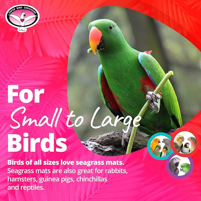 Super Bird Creations SB50007 Seagrass Mat for Cage Decor, Pet Enrichment and Boredom Relief - Versatile Toy-Making Base - Ideal for Parrots - Small to Large Birds & Reptiles - 7"x12" (1 Pack)