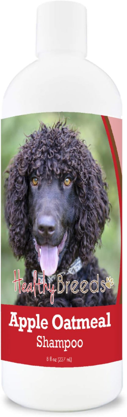 Healthy Breeds Irish Water Spaniel Apple Oatmeal Dog Shampoo - All Natural, Tearless & Hypoallergenic Cleanser & Conditioner - Best for Dry, Itchy or Irritated Skin - 8 oz
