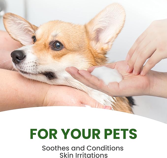 Dog Shampoo  Cleansing Wash, Conditioning, Moisturizing  Healthy Ingredients  Aromatic Grooming Puppy Shampoo  Tearless Cleaner, Rosemary Tea Tree