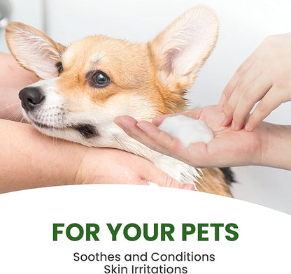 Dog Shampoo  Cleansing Wash, Conditioning, Moisturizing  Healthy Ingredients  Aromatic Grooming Puppy Shampoo  Tearless Cleaner, Rosemary Tea Tree