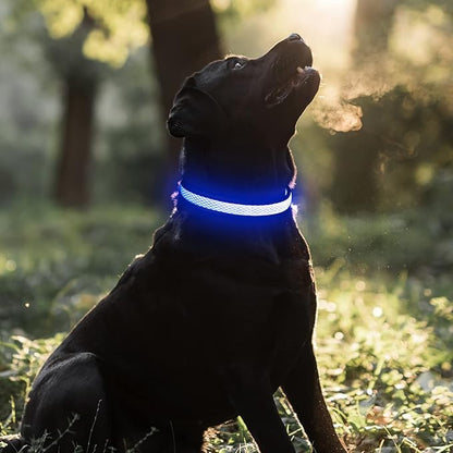 BSEEN Light Up Dog Collars - Reflective LED Dog Collar, Rechargeable Puppy Collar for Small Dogs, Glow in The Dark Dog Camping Gear, Flashing Dog Lights for Night Walking (Small, Blue)