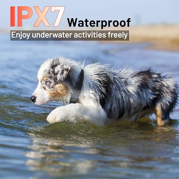 Dog Training Collar with Remote 3300ft Range Waterproof Rechargeable Electric Collar for Small Medium Large Dogs