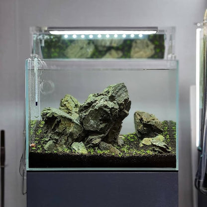 SubstrateSource Natural Stone for Aquarium, Terrarium, Paludarium, Reptile Enclosures - Set of Decorative Rocks for Landcapes, Aquascaping, Fish Tank Decor (Manten Stone, 10 Pounds, 2-6")