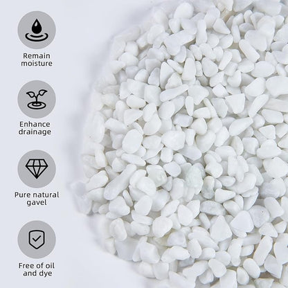 5lb River Rocks Polished Silica Gravel for Plants Garden, Decorative Pebbles Ideal for Fish Tank, Vases, Succulents, Crafting, Home Decor and Garden Landscaping, Snow White(0.2-0.3”)