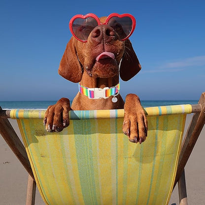 DOGWONG Cotton Dog Collar, Rainbow Dog Collar Durable Soft Natural Fabric Pet Dog Collar Cute LGBTQ Puppy Necklace for Small Medium Large Dog