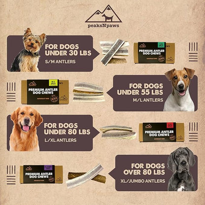 Premium Split Elk Antlers for Dogs, Dog Treats Large Breed, Made in USA, Natural Dog Chews for Aggressive Chewers, Long Lasting Pet Treat for Dogs Under 80 lbs, 2 Large/XL Antler Pack