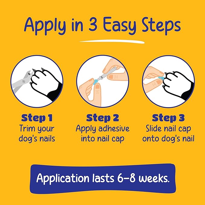 Soft Claws Dog and Cat Nail Caps Take Home Kit, X-Large, Black