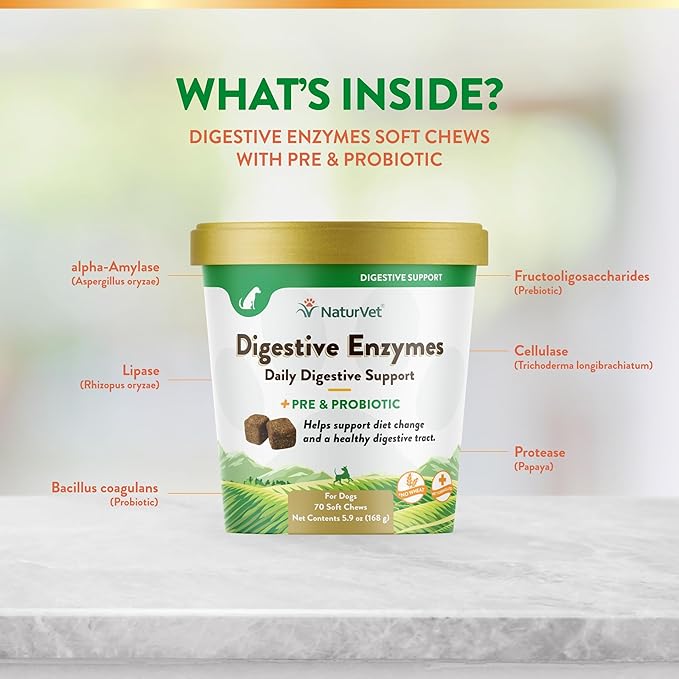 NaturVet  Digestive Enzymes - Plus Probiotics & Prebiotics  Helps Support Diet Change & A Healthy Digestive Tract  for Dogs (Soft Chews, 70 Count)