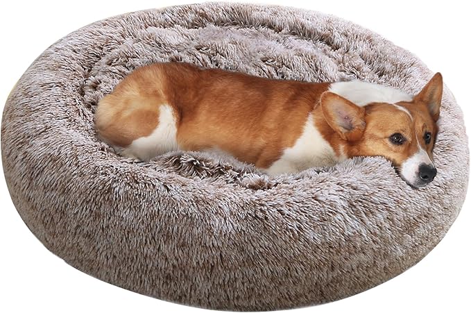 JOLLYVOGUE Dog Beds, Calming Small Dog Bed, Anti-Anxiety Dog Bed for Small Dogs, Fluffy Donut Dog Bed, Cozy Dog Cat Cushion Bed for Small Medium Dogs (24")