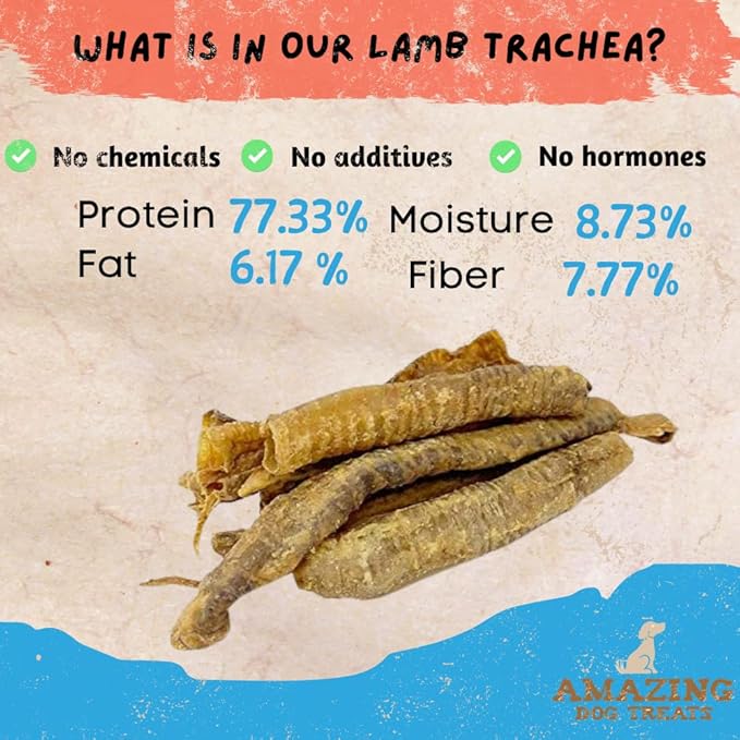 Amazing Dog Treats - Lamb Trachea (18-20 Count - 10 oz) - Trachea Dog Chews - Natural Source of Glucosamine & Chondroitin for Dogs - Lamb Dog Treats