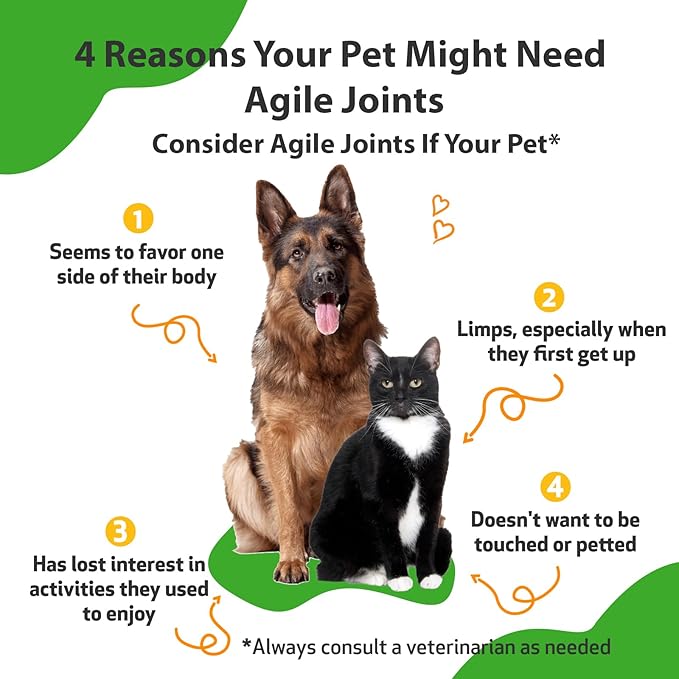 Pet Wellbeing Agile Joints for Dogs - Hip and Joint Health, Mobility, Devil_ Claw, Boswellia, Joint Ligament and Cartilage - Veterinarian-Formulated Herbal Supplement 4 oz (118 ml)