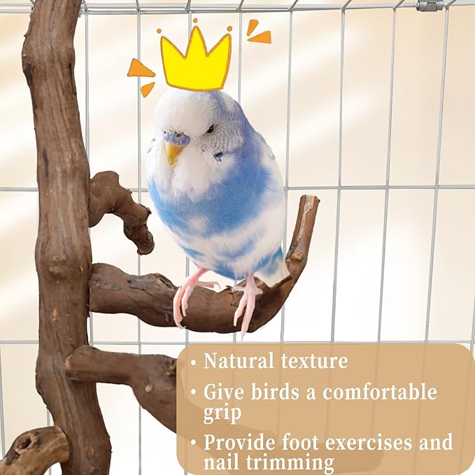 Bird Perch Stand Natural Parrot Perch for Cage Parakeet Climbing Platform Branches Swing Toy Cage Accessories for Cockatiels Lovebird Finches Canaries Budgie
