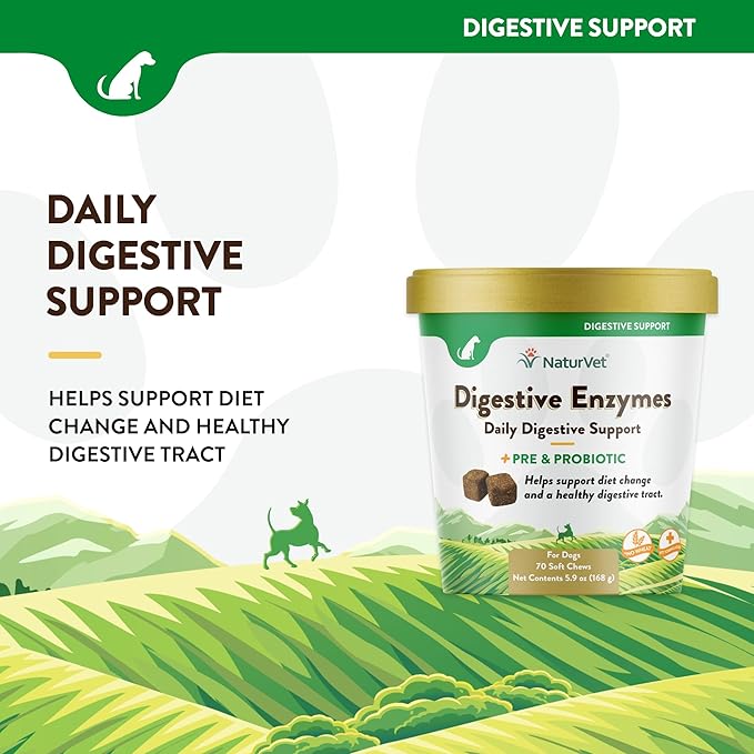 NaturVet  Digestive Enzymes - Plus Probiotics & Prebiotics  Helps Support Diet Change & A Healthy Digestive Tract  for Dogs (Soft Chews, 70 Count)