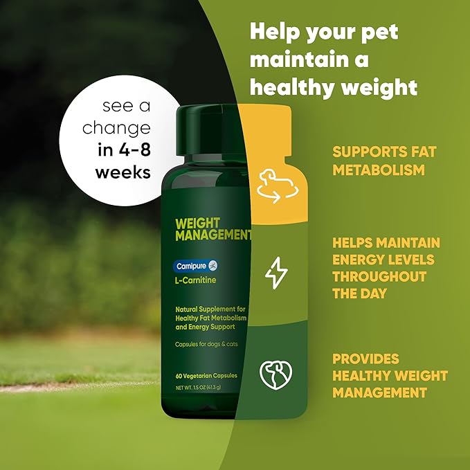 Rooted Owl Metabolism Support - L-Carnitine Supplement for Dogs and Cats to Support Healthy Weight - Dog and Cat Supplement - 60/ct