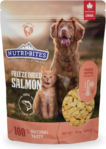 NutriBites Freeze Dried Salmon Dog & Cat Treats | Healthy Pet Training Treats or Food Topper | All Natural, 1 Single Animal Protein, High Protein | Premium Bulk Value Pack, 14 oz