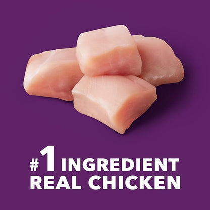 IAMS Advanced Health Mobility Support Chicken and Whole Grain Recipe Adult Dry Dog Food, 6 lb. Bag