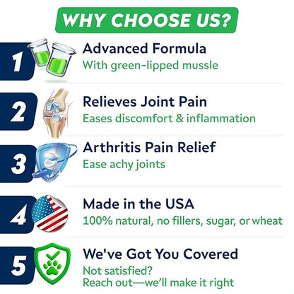 STRELLALAB Senior Advanced Glucosamine Joint Supplement for Dogs - Green Lipped Mussel & Collagen - Large Breeds - Hip & Joint Health - Bacon Flavor - 120 Chews