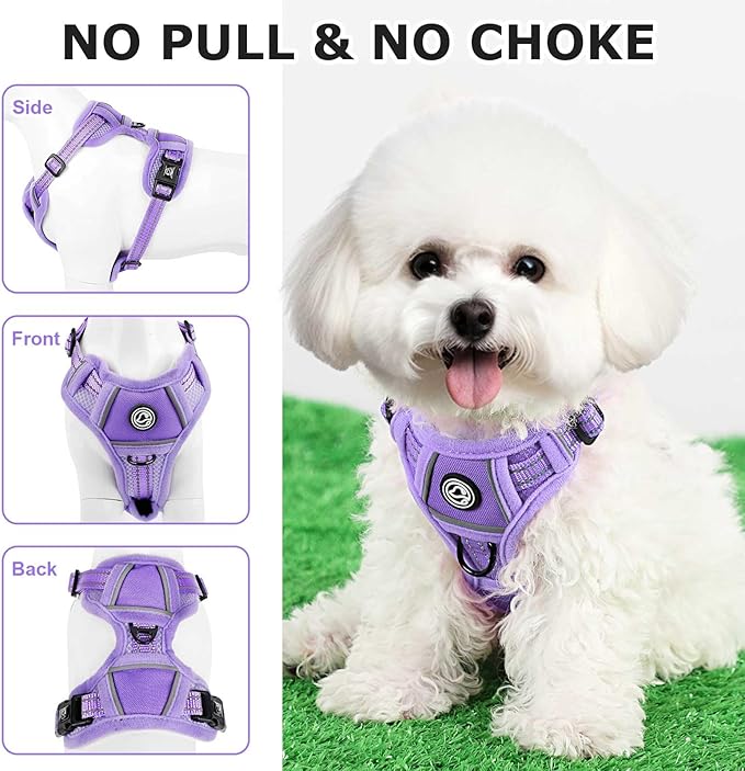 Dog Harness Small Sized Dog, No Pull Pet Harness with 2 Leash Clips, Adjustable Soft Padded Dog Vest Harnesses, Reflective No-Choke Pet Oxford Vest