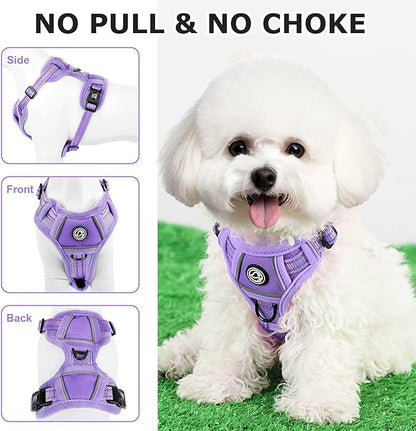 Dog Harness Small Sized Dog, No Pull Pet Harness with 2 Leash Clips, Adjustable Soft Padded Dog Vest Harnesses, Reflective No-Choke Pet Oxford Vest
