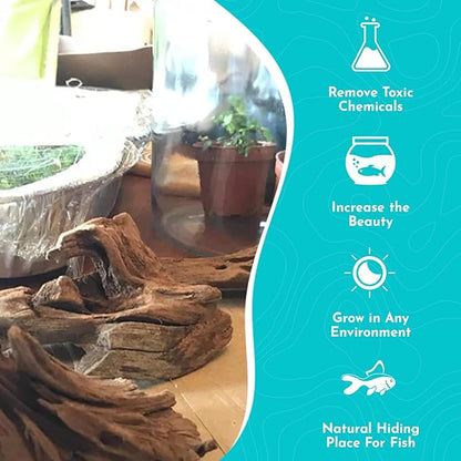 Malaysian Drift Wood Aquascaping Aquarium Decoration Large