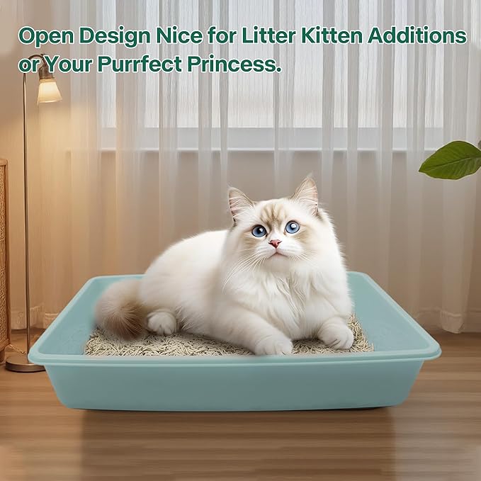 PAWISE Small Cat Litter Box, Kitten Litter Box Starter Kit, Low Entry Baby Kitten Training Litter Box with Scoop, Bowls,Cat Mouse Toy and Cat Ball Toy,First Catty Owner Essentials (Green)