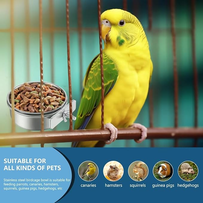 2Pcs Stainless Steel Bird Feeding Bowls, Small Bird Feeding Cup, Stainless Steel Parrot Food Bowl Cage with Holder, Parrot Cage Water Feeder, Pet Cage Cup Holder