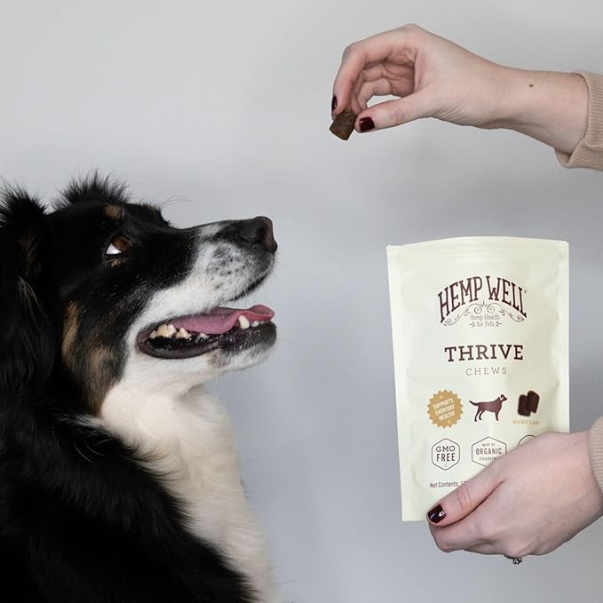 Hemp Well Thrive Chews for Dogs  Supports Healthy, Skin, Hip, Joint, and Heart Health, Promotes Immune Support, Fights Seasonal Allergies, Organically Sourced  30 Count