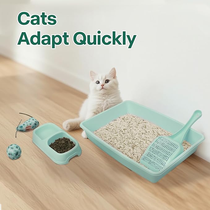 PAWISE Small Cat Litter Box, Kitten Litter Box Starter Kit, Low Entry Baby Kitten Training Litter Box with Scoop, Bowls,Cat Mouse Toy and Cat Ball Toy,First Catty Owner Essentials (Green)