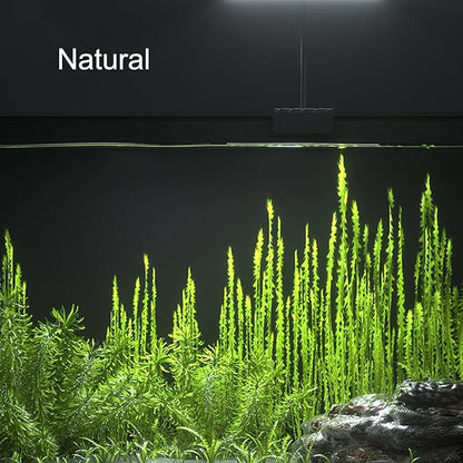 Carefree Fish Aquarium LED Light USB 5V RGBW 5730 Timmer 5~10Gal Fish Tank Clip Light 10 Brightness Levels 8W with USB Port (Include Power Adapter)