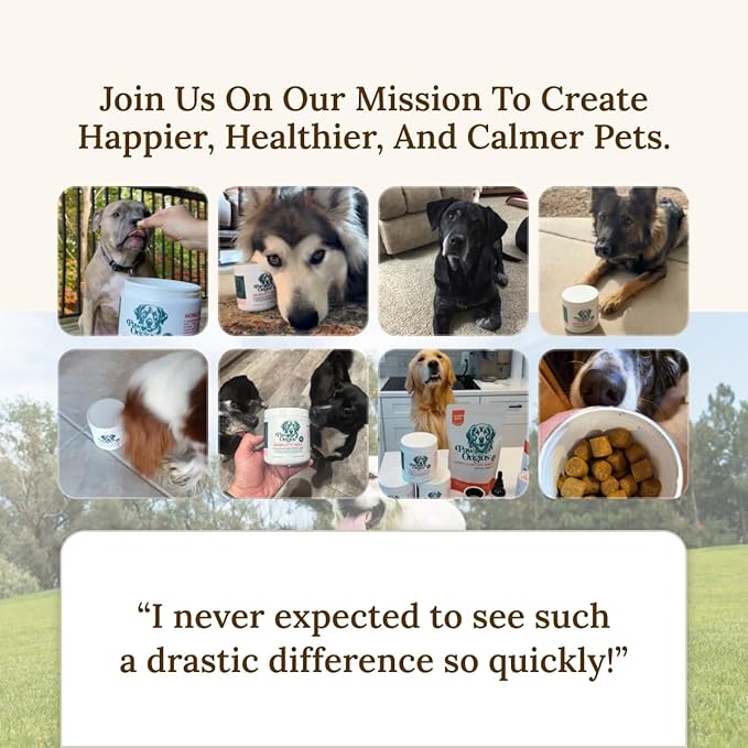 Paw Origins Mobility Max Joint Supplement for Dogs – 9-in-1 Blend with Glucosamine, Chondroitin, MSM & Vitamin C – Natural Bacon Flavor – Premium USA-Made Daily Formula for Active & Senior Pets