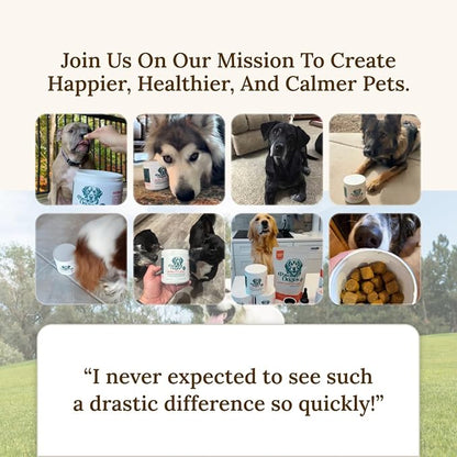 Paw Origins Mobility Max Joint Supplement for Dogs – 9-in-1 Blend with Glucosamine, Chondroitin, MSM & Vitamin C – Natural Bacon Flavor – Premium USA-Made Daily Formula for Active & Senior Pets