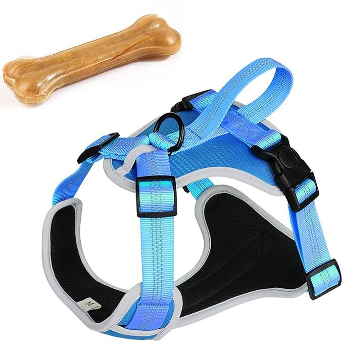 Dog Harness for Medium Dogs No Pull, Adjustable Reflective Oxford Outdoor Vest, Easy for Walk and Training, Front/Back Leash Clips for Small, Medium, Large Dogs (Blue, S)