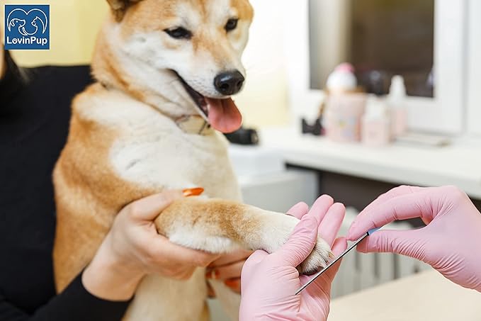 Dog Nail Filer, Professional Nail Grooming Tool, Dog and Cat Nail Files, for Smoothing Rough Edges of Pet_ Nails, Best Nail Filer for Small/Large Dogs & Cats (1 Dog Nail Filer)