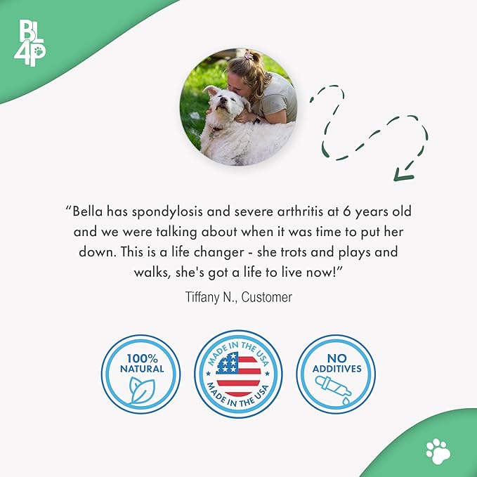 Large Breed Hip and Joint Supplement for Dogs - Premium Natural Joint Support and Mobility Relief Helps Ease Stiffness so Senior Dogs can Climb Stairs, Walk Pain Free and Play Again (180 Tiny Pills)