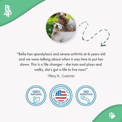 Large Breed Hip and Joint Supplement for Dogs - Premium Natural Joint Support and Mobility Relief Helps Ease Stiffness so Senior Dogs can Climb Stairs, Walk Pain Free and Play Again (180 Tiny Pills)