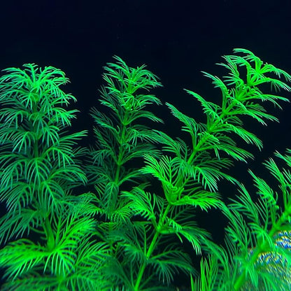Artificial Aquarium Plants Plastic, Fake Plants for Aquarium Fish Tank, Realistic Plant 10PCS