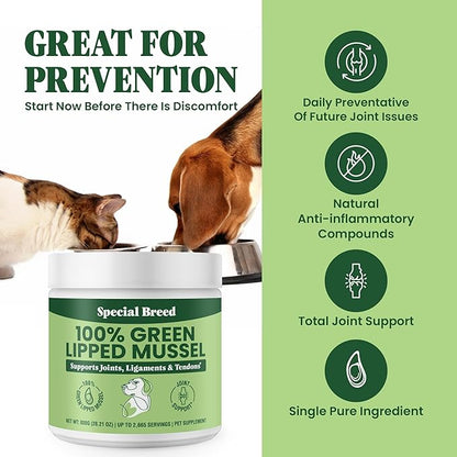 Green Lipped Mussel Powder for Dogs & Cats - 100% New Zealand Green Lipped Mussels - Natural Hip & Joint Supplement for Joints, Tendons, Ligaments, Muscles - 800 Grams - Up to 2,665 Servings