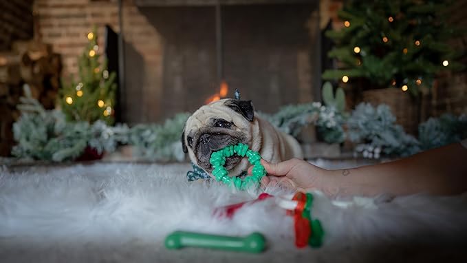 Nylabone Power Chew Textured Ring Dog Toy, Dog Chew Toys for Aggressive Chewers, Winter Green Flavor, Small/Regular - Up to 25 lbs. (1 Count)