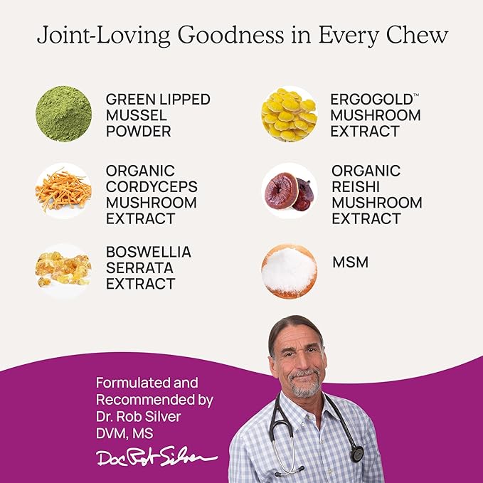 Real Mushrooms Mobility Chews for Dogs & Cats – Green Lipped Mussel & ErgoGold Mushroom Blend – Dogs & Cat Vitamins Treats for Active Routines – Joint, Hip & Flexibility Support – 240 ct Supplement