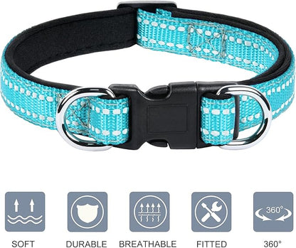 AUAUY Reflective Nylon Dog Collars, Adjustable Classic Pet Collars with Soft Neoprene Padding, Double Security Dual D-Ring and Quick Release Buckle for Small Puppy, Medium and Large Dogs (Lake Blue-S)