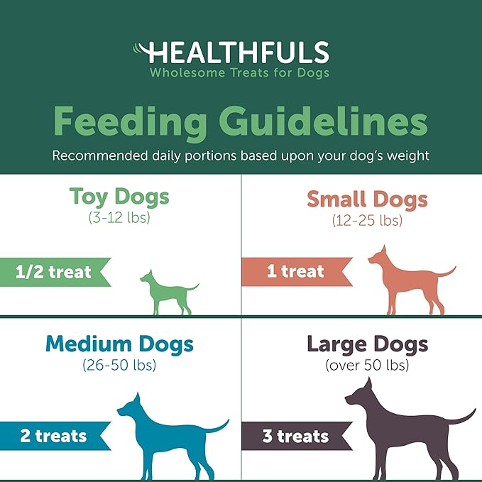 Chicken Jerky Dog Treats with Glucosamine & Chondroitin, 16oz