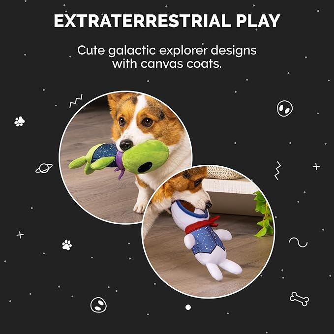 Furhaven 2-Pack Squeaky Plush Dog Toys for Small/Medium Dogs, Washable w/ Ruff Stuff Reinforcement - Dapper Dandies Galactic Collection - Alien/Astronaut, Set of 2